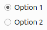 Two radio buttons representing two options